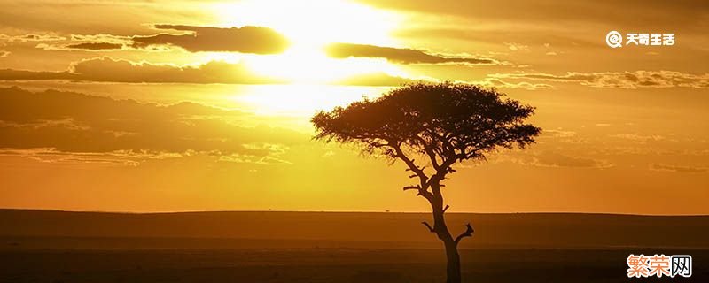 非洲十大高原 非洲最大的高原