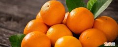 橙子什么样的甜 橙子什么样的