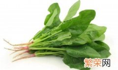 冬季种什么蔬菜好 种植的时候有什么技巧