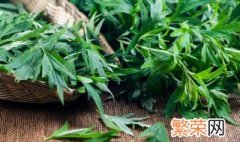 艾叶泡脚用什么样的艾叶 野生艾叶泡脚用多少艾叶合适