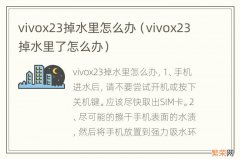 vivox23掉水里了怎么办 vivox23掉水里怎么办