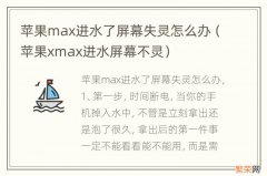 苹果xmax进水屏幕不灵 苹果max进水了屏幕失灵怎么办