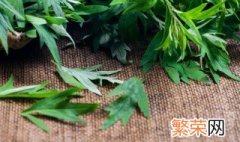 艾草怎样加工成艾绒 艾草怎么加工成艾绒