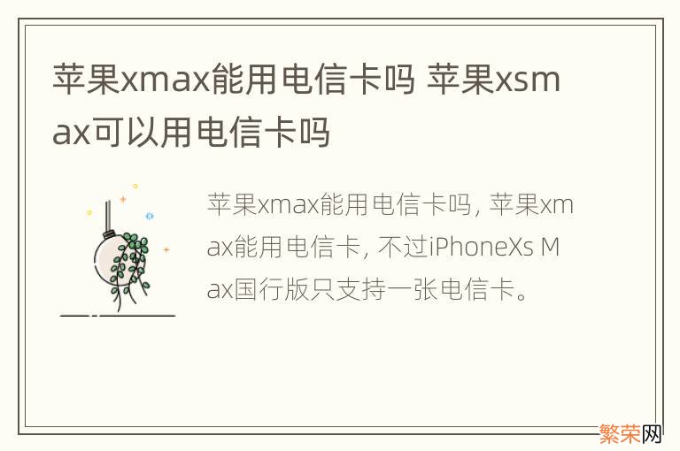 苹果xmax能用电信卡吗 苹果xsmax可以用电信卡吗