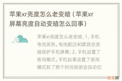 苹果xr屏幕亮度自动变暗怎么回事 苹果xr亮度怎么老变暗