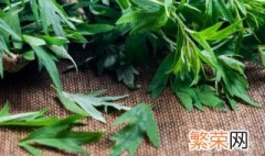 新鲜采摘的艾叶怎样保存 自己采摘的艾叶怎么弄就可以用了