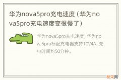 华为nova5pro充电速度变很慢了 华为nova5pro充电速度