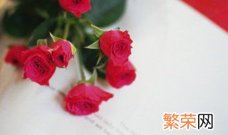 中秋节送女孩什么礼物好 送女孩什么礼物好