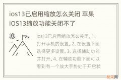 ios13已启用缩放怎么关闭 苹果iOS13缩放功能关闭不了