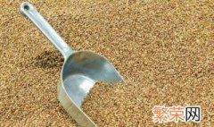 储存小麦的方法有几种 储存小麦的方法