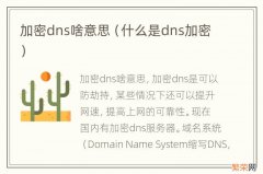 什么是dns加密 加密dns啥意思