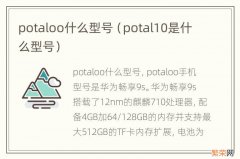 potal10是什么型号 potaloo什么型号
