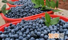 蓝莓的储存方法 蓝莓的食用方法及储存