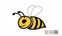 流蜜期如何消除中蜂分蜂 蜜蜂分蜂如何处理
