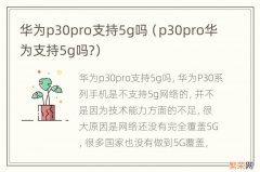 p30pro华为支持5g吗? 华为p30pro支持5g吗