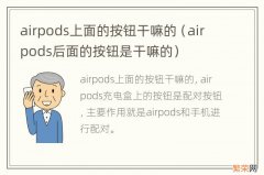 airpods后面的按钮是干嘛的 airpods上面的按钮干嘛的