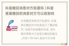 抖音里面撤回的消息对方可以收到吗 抖音撤回消息对方知道吗