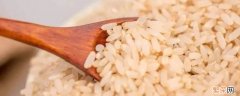 留胚米和大米的区别 牙胚米跟大米有啥区别