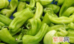青椒应该怎样保存才能保持新鲜 青椒怎么储存到冬天吃还新鲜