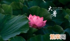 大暑节气特点 大暑节气有哪些特点