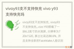 vivoy93支不支持快充 vivo y93支持快充吗