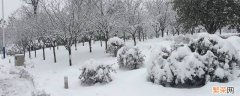 干雪和湿雪的区别 干雪好还是湿雪好