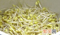 黄豆芽怎么做 在家做黄豆芽的做法