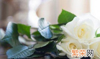 玫瑰花语颜色代表什么 玫瑰花颜色寓意