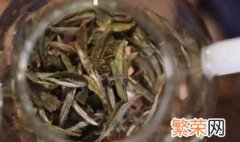 白茶怎么保存方法 白茶存放方法