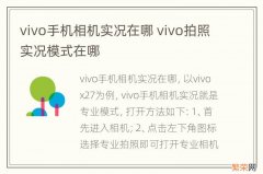 vivo手机相机实况在哪 vivo拍照实况模式在哪