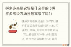 拼多多高级农场是最高级了吗? 拼多多高级农场是什么样的