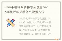 vivo手机呼叫转移怎么设置 vivo手机呼叫转移怎么设置方法