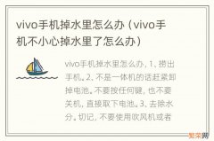 vivo手机不小心掉水里了怎么办 vivo手机掉水里怎么办