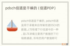 信道PDP pdsch信道是干嘛的