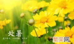 2021过了处暑是什么节日 2021处暑节气的含义是什么意思