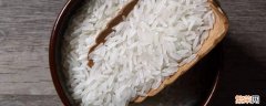 密封的米怎么会生虫 为何密封的米也会长虫子