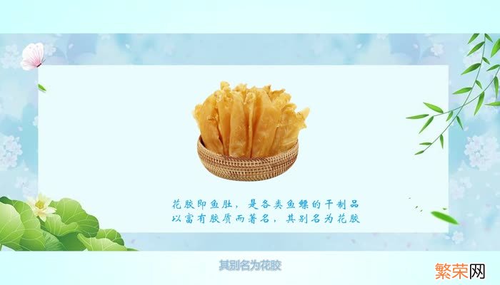 花胶是什么 花胶是鱼的哪里