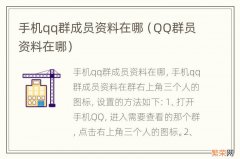 QQ群员资料在哪 手机qq群成员资料在哪