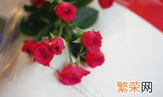 如何保存玫瑰花 如何保存玫瑰花瓣