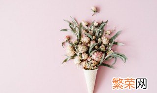 鲜花做成干花的方法 鲜花要怎么做成干花