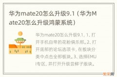 华为Mate20怎么升级鸿蒙系统 华为mate20怎么升级9.1