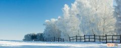 雪是什么味道 雪是什么味道的研究报告