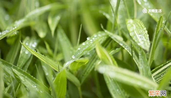 一场秋雨一场寒的下一句 一场秋雨一场寒的下一句是什么