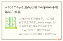 wegame手机畅玩在哪 wegame手机畅玩在哪里