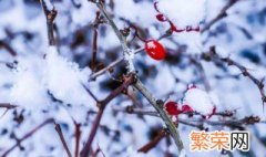 梦到雪是什么意思 梦到雪的寓意