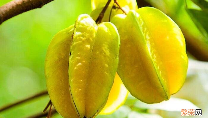杨桃的功效与作用吃法 吃杨桃有什么好处