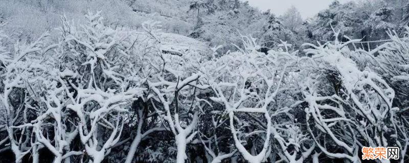 雪是什么状态的 雪是什么状态的?