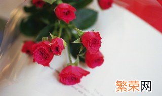 如何保存玫瑰花束 怎样保存玫瑰花束