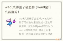 wadl是什么能删吗 wadl文件删了会怎样