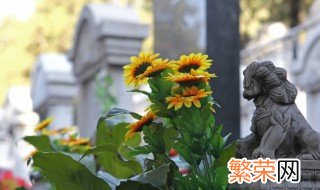 清明节可以去两次墓地吗? 清明扫墓可以兄弟各去一次墓地吗